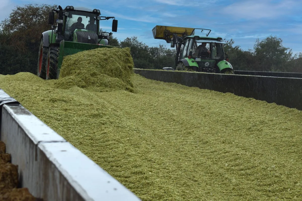 Silage & Gärprozess